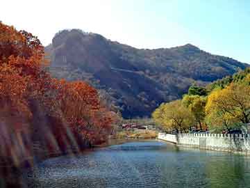 澳门二四六天天彩图库，地雷花